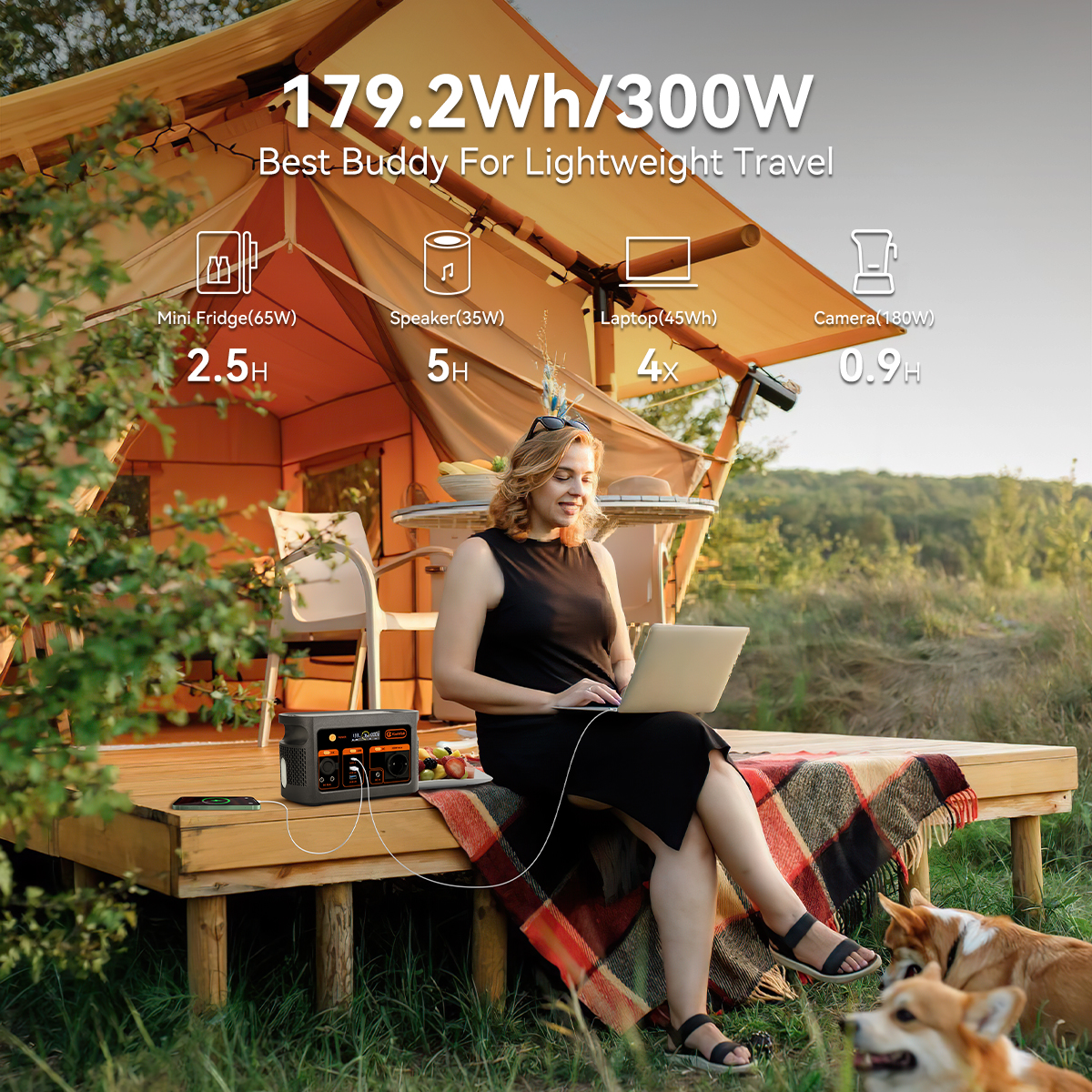 300W pure sine wave solar gene - Portable Power Station のレビューと価格